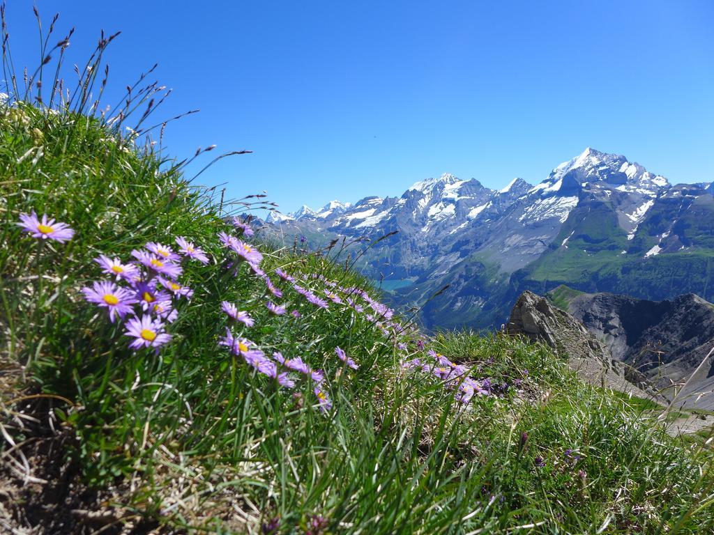 Villa Hami Adelboden Camera foto