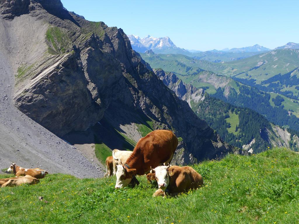 Villa Hami Adelboden Camera foto
